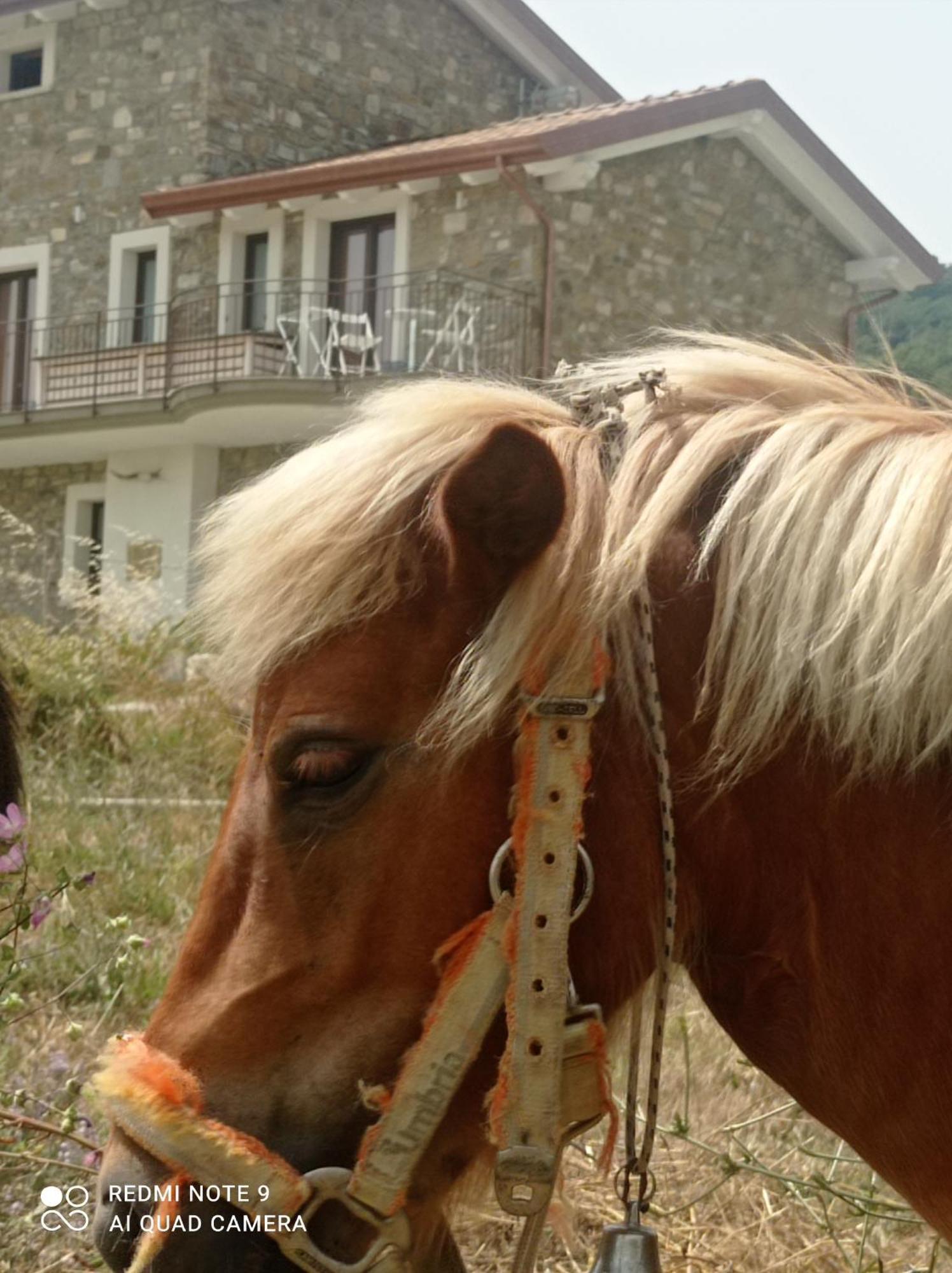 Lux Vera B & B Agropoli Exterior photo